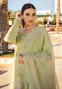 Embroidered Lawn Suits Unstitched 3 Piece Unstitched - Ayleen - KS013